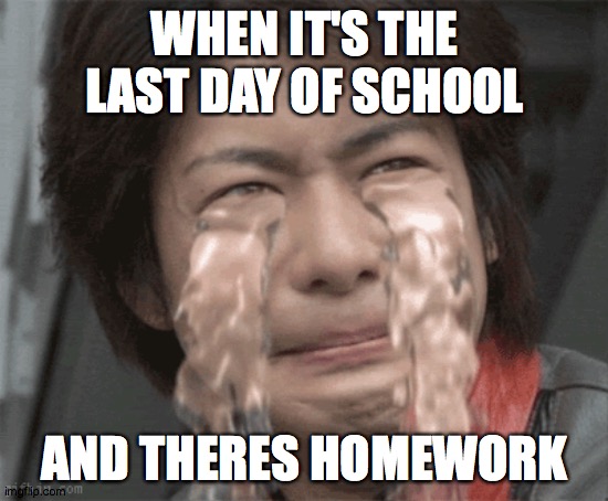 Cry Forever | WHEN IT'S THE LAST DAY OF SCHOOL; AND THERES HOMEWORK | image tagged in cry forever,crying,sad | made w/ Imgflip meme maker