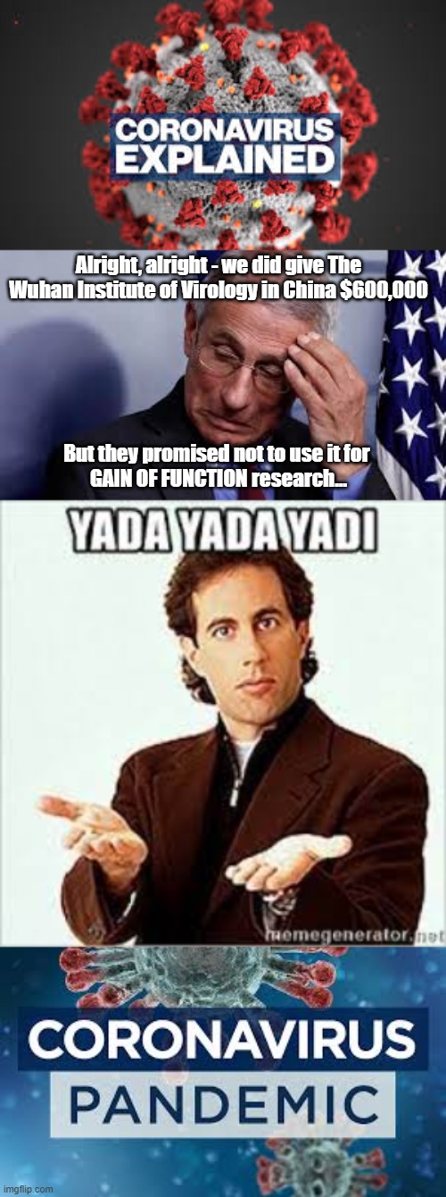 Yada Yada Yadi - Pandemic | Alright, alright - we did give The Wuhan Institute of Virology in China $600,000; But they promised not to use it for 
GAIN OF FUNCTION research... | image tagged in dr fauci,china,seinfeld,politics,cover up,pandemic | made w/ Imgflip meme maker