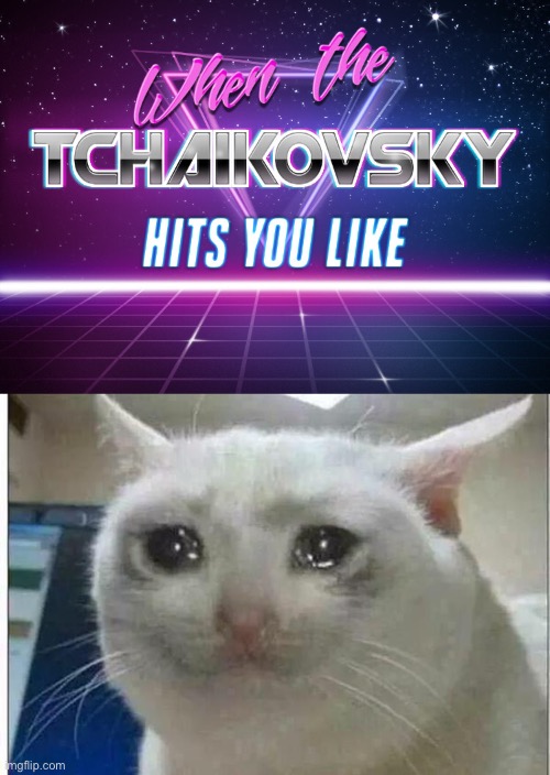 *Starts Bawling* | image tagged in crying cat,classical music,its enough to make a grown man cry,i mean it | made w/ Imgflip meme maker