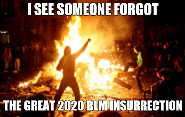 Anarchy Riot | I SEE SOMEONE FORGOT THE GREAT 2020 BLM INSURRECTION | image tagged in anarchy riot | made w/ Imgflip meme maker