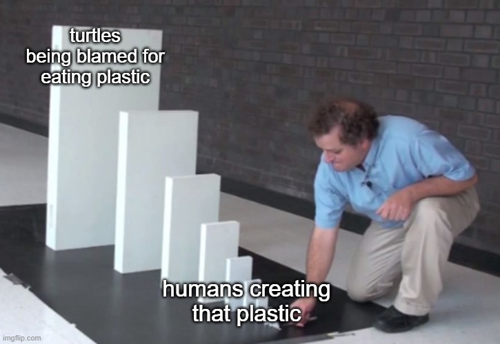 Domino Effect | turtles being blamed for eating plastic humans creating that plastic | image tagged in domino effect | made w/ Imgflip meme maker