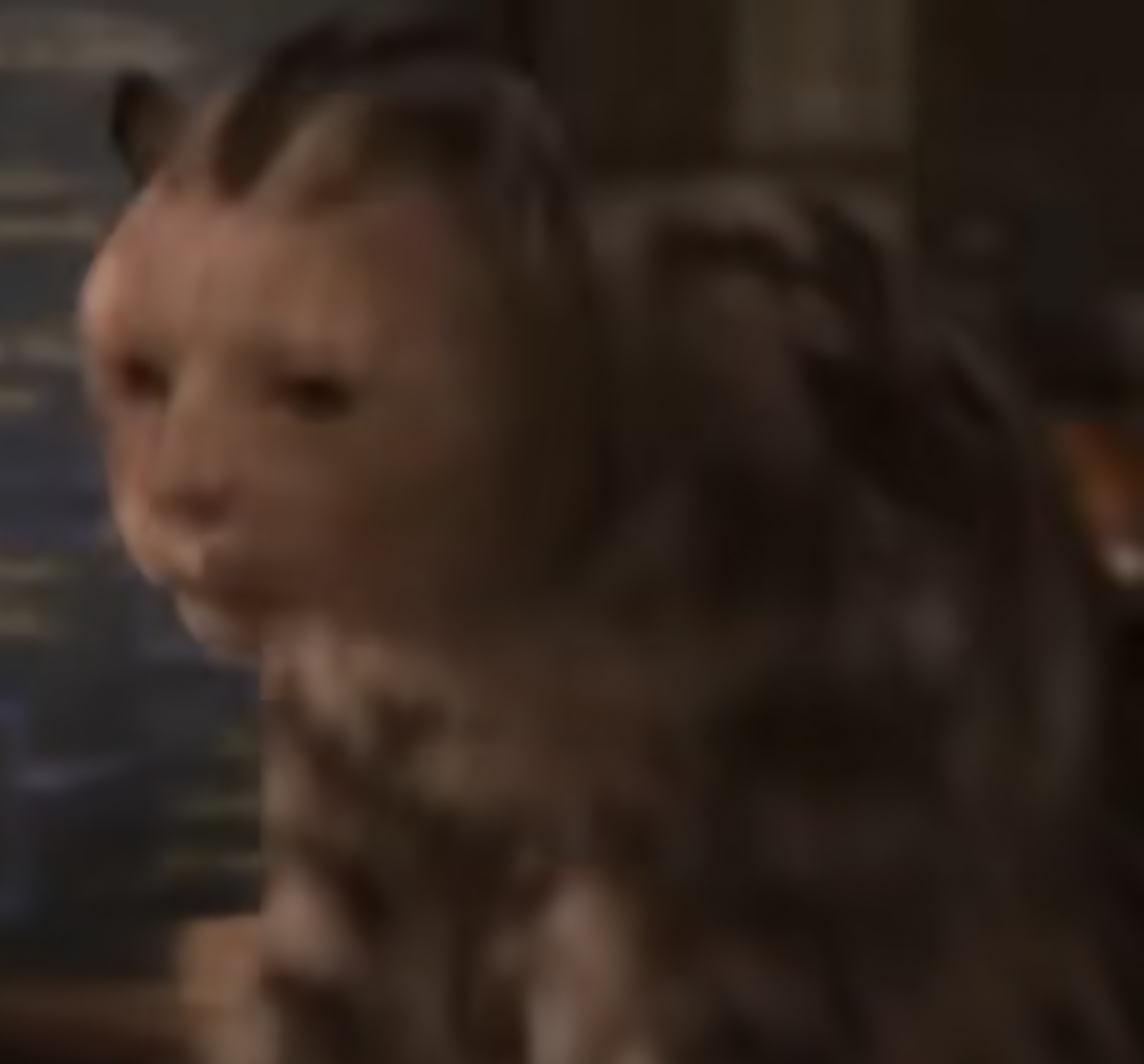 High Quality stunned cat Blank Meme Template