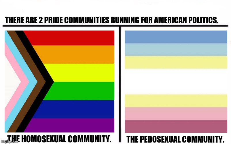 Who Would Win Blank | THERE ARE 2 PRIDE COMMUNITIES RUNNING FOR AMERICAN POLITICS. THE HOMOSEXUAL COMMUNITY. THE PEDOSEXUAL COMMUNITY. | image tagged in memes,pride month,american dad | made w/ Imgflip meme maker