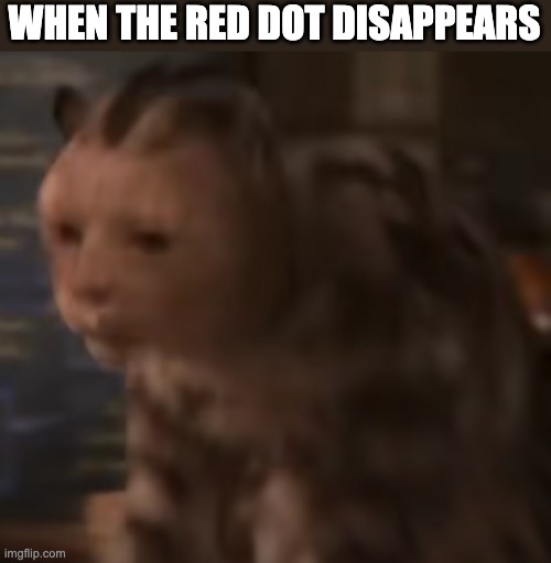 stunned cat |  WHEN THE RED DOT DISAPPEARS | image tagged in stunned cat,memes,cats | made w/ Imgflip meme maker