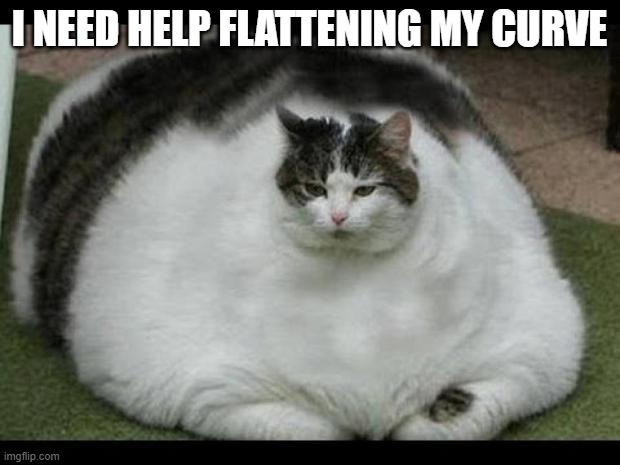 Flatten the Curve | I NEED HELP FLATTENING MY CURVE | image tagged in fat cat 2 | made w/ Imgflip meme maker