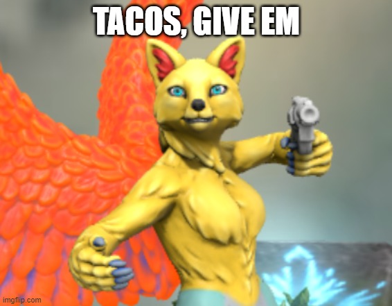 better | TACOS, GIVE EM | image tagged in taco,furry | made w/ Imgflip meme maker