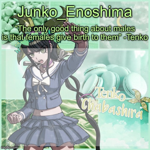 High Quality Junko's Tenko temp Blank Meme Template