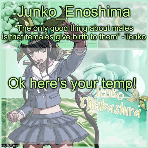 Junko's Tenko temp | Ok here's your temp! | image tagged in junko's tenko temp | made w/ Imgflip meme maker