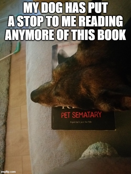 Pet Cemetery | MY DOG HAS PUT A STOP TO ME READING ANYMORE OF THIS BOOK | image tagged in cemetery,funny dogs,stephen king | made w/ Imgflip meme maker