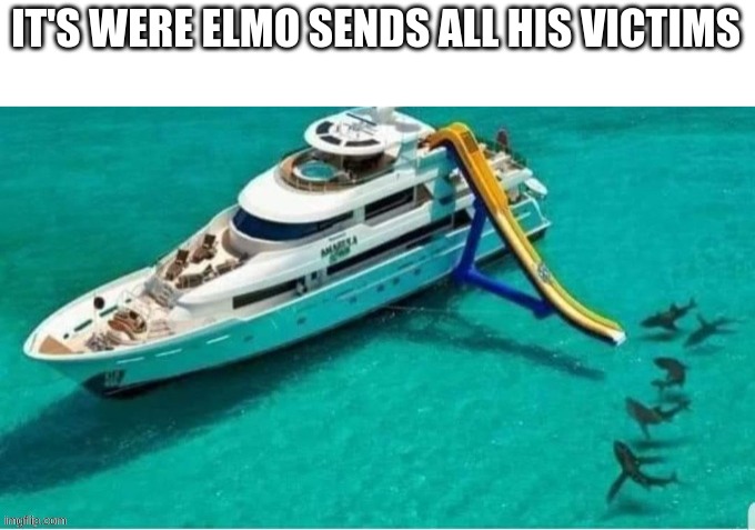 Lol! | IT'S WERE ELMO SENDS ALL HIS VICTIMS | image tagged in funny,dark humor,dark,elmo | made w/ Imgflip meme maker