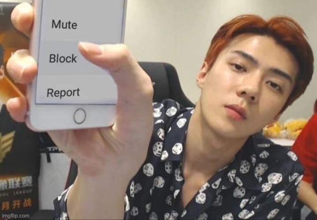 Remember to always block rude peeps | image tagged in sehun block | made w/ Imgflip meme maker
