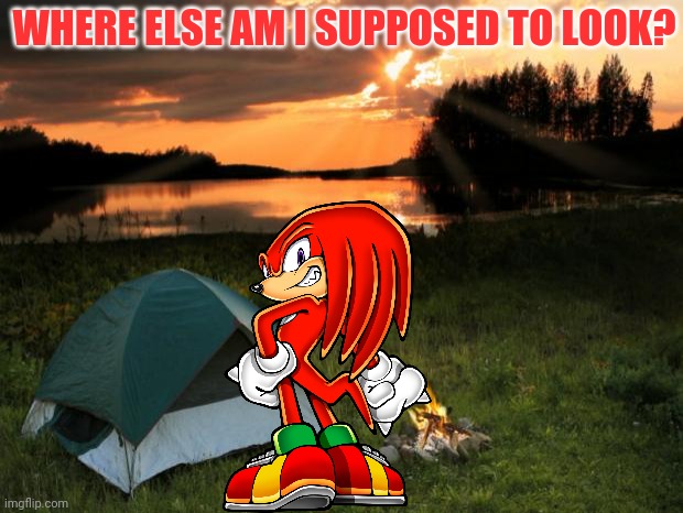 Camping...It's In Tents | WHERE ELSE AM I SUPPOSED TO LOOK? | image tagged in camping it's in tents | made w/ Imgflip meme maker