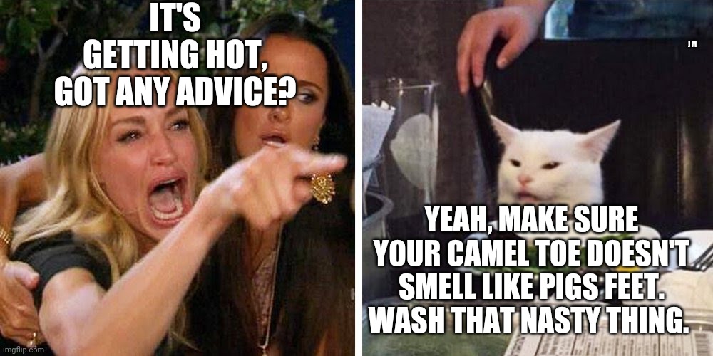 Smudge the cat | IT'S GETTING HOT, GOT ANY ADVICE? J M; YEAH, MAKE SURE YOUR CAMEL TOE DOESN'T SMELL LIKE PIGS FEET. WASH THAT NASTY THING. | image tagged in smudge the cat | made w/ Imgflip meme maker