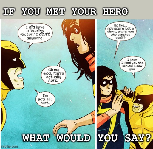 A wonderful little adventure | IF YOU MET YOUR HERO; WHAT WOULD YOU SAY? | image tagged in comics,marvel,xmen,ms marvel | made w/ Imgflip meme maker