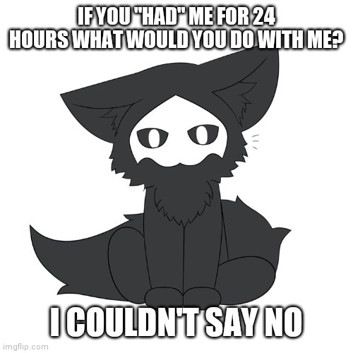 IF YOU "HAD" ME FOR 24 HOURS WHAT WOULD YOU DO WITH ME? I COULDN'T SAY NO | made w/ Imgflip meme maker
