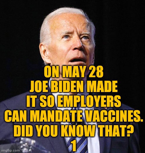Joe Biden | ON MAY 28 JOE BIDEN MADE IT SO EMPLOYERS CAN MANDATE VACCINES.
DID YOU KNOW THAT?
1 | image tagged in joe biden | made w/ Imgflip meme maker