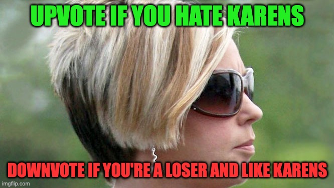 Remember kids, this is the upvote begging stream | UPVOTE IF YOU HATE KARENS; DOWNVOTE IF YOU'RE A LOSER AND LIKE KARENS | image tagged in karen | made w/ Imgflip meme maker