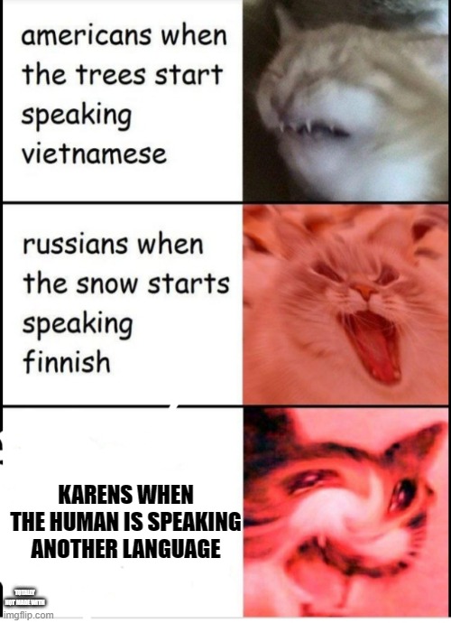 Screaming cats | KARENS WHEN THE HUMAN IS SPEAKING ANOTHER LANGUAGE; TOTALLY NOT MADE WITH | image tagged in screaming cats | made w/ Imgflip meme maker