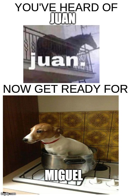 Miguel doggo |  JUAN; MIGUEL | image tagged in fun | made w/ Imgflip meme maker