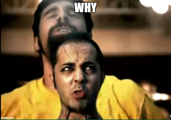 Dis look so wrong | WHY | image tagged in weird,system of a down | made w/ Imgflip meme maker
