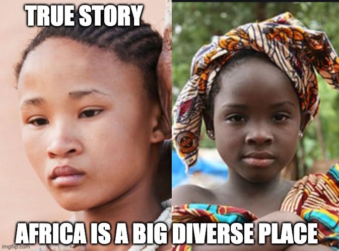 Black is beautiful, but not all the same | TRUE STORY; AFRICA IS A BIG DIVERSE PLACE | image tagged in africa,black,girls,beautiful | made w/ Imgflip meme maker
