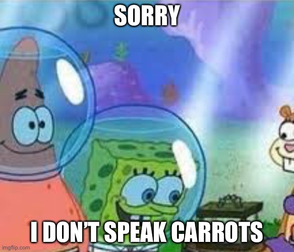 Sorry I don’t speak Italian | SORRY; I DON’T SPEAK CARROTS | image tagged in sorry i don t speak italian | made w/ Imgflip meme maker