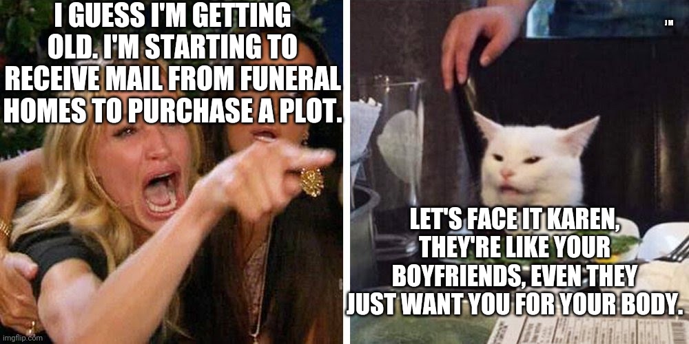 Smudge the cat | I GUESS I'M GETTING OLD. I'M STARTING TO RECEIVE MAIL FROM FUNERAL HOMES TO PURCHASE A PLOT. J M; LET'S FACE IT KAREN, THEY'RE LIKE YOUR BOYFRIENDS, EVEN THEY JUST WANT YOU FOR YOUR BODY. | image tagged in smudge the cat | made w/ Imgflip meme maker
