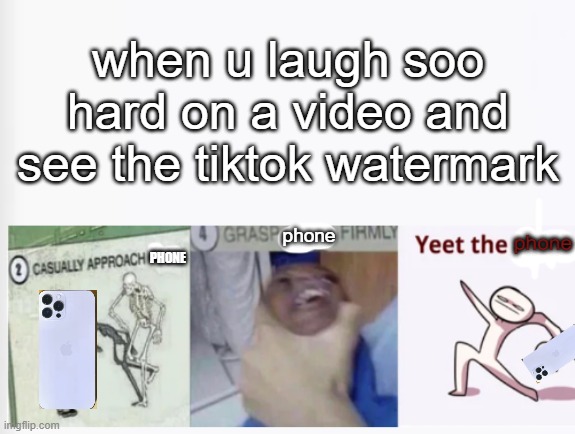 YEET THE PHONE!! | when u laugh soo hard on a video and see the tiktok watermark; phone; phone; PHONE | image tagged in casually approach child grasp child firmly yeet the child,tik tok sucks,phone | made w/ Imgflip meme maker