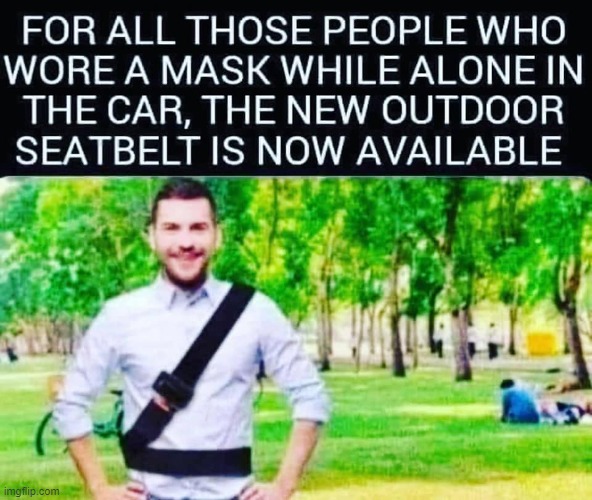 The new outdoor seatbelt | image tagged in seatbelt,mask | made w/ Imgflip meme maker