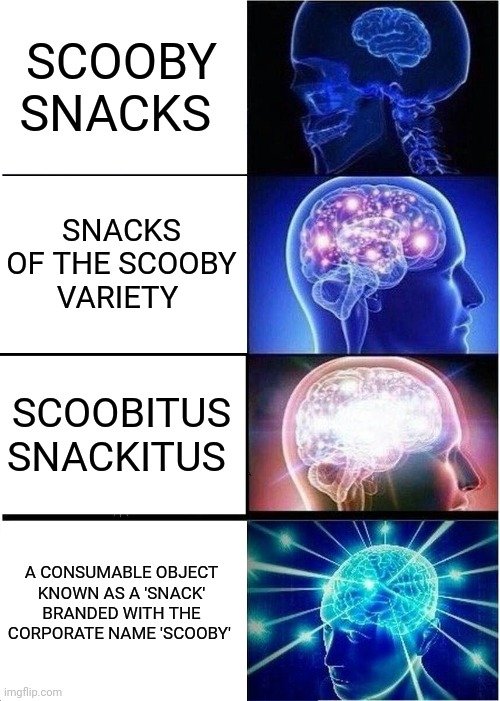 Noice | SCOOBY SNACKS; SNACKS OF THE SCOOBY VARIETY; SCOOBITUS SNACKITUS; A CONSUMABLE OBJECT KNOWN AS A 'SNACK' BRANDED WITH THE CORPORATE NAME 'SCOOBY' | image tagged in memes,expanding brain | made w/ Imgflip meme maker