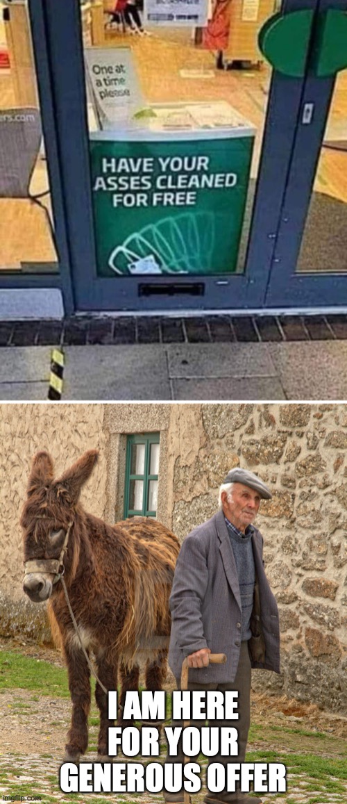 Have your asses cleaned | I AM HERE FOR YOUR GENEROUS OFFER | image tagged in ass,donkey,clean,joke,glasses | made w/ Imgflip meme maker