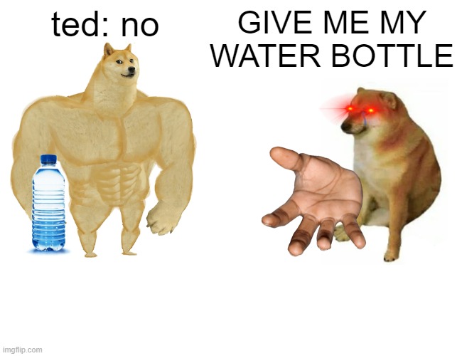 An inside joke | ted: no; GIVE ME MY WATER BOTTLE | image tagged in memes,buff doge vs cheems | made w/ Imgflip meme maker