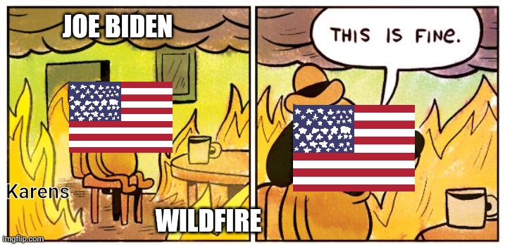 Are the USA gonna stop Karens now? | JOE BIDEN; Karens; WILDFIRE | image tagged in memes,this is fine | made w/ Imgflip meme maker