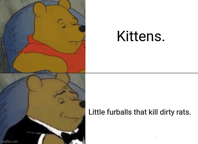 Tuxedo Winnie The Pooh Meme | Kittens. Little furballs that kill dirty rats. | image tagged in memes,tuxedo winnie the pooh,logic | made w/ Imgflip meme maker