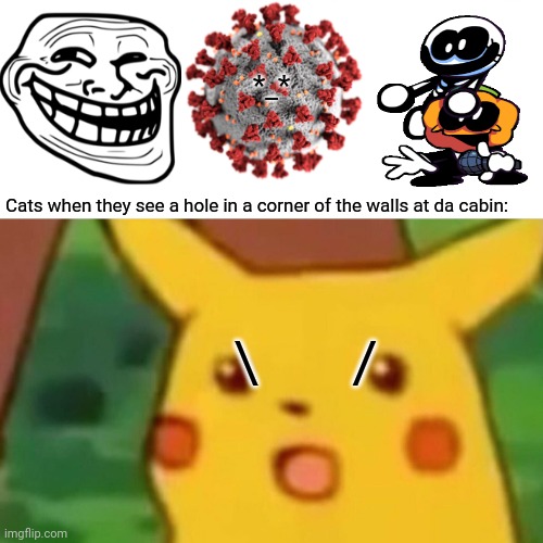 Surprised Pikachu | *_*; Cats when they see a hole in a corner of the walls at da cabin:; \       / | image tagged in memes,surprised pikachu,angry cat | made w/ Imgflip meme maker