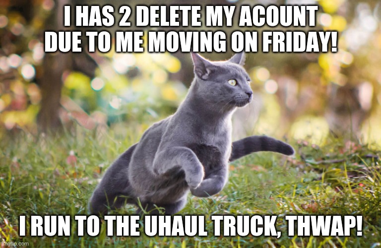 Cat GO! | I HAS 2 DELETE MY ACOUNT DUE TO ME MOVING ON FRIDAY! I RUN TO THE UHAUL TRUCK, THWAP! | image tagged in cat go,zoom,i'd hit that,truck driver | made w/ Imgflip meme maker