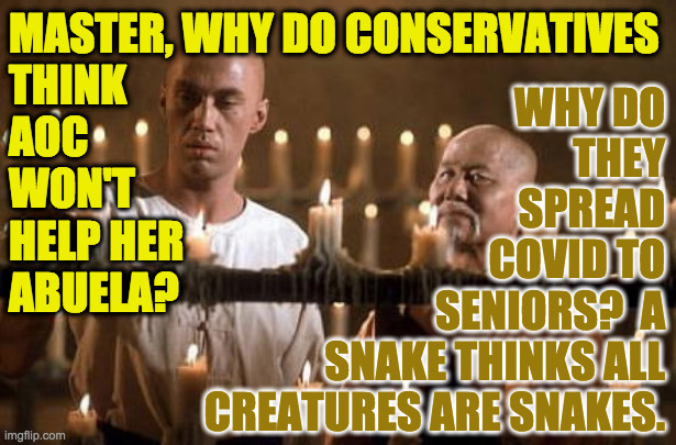 Snakes. | MASTER, WHY DO CONSERVATIVES
THINK
AOC
WON'T
HELP HER
ABUELA? WHY DO
THEY
SPREAD
COVID TO
SENIORS?  A
SNAKE THINKS ALL
CREATURES ARE SNAKES. | image tagged in kung fu grasshopper,memes,snakes,conservatives,aoc | made w/ Imgflip meme maker