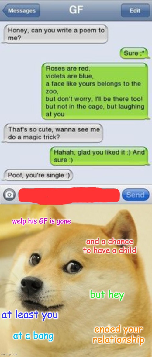 oof | welp his GF is gone; and a chance to have a child; but hey; at least you; ended your relationship; at a bang | image tagged in memes,doge,text messages | made w/ Imgflip meme maker