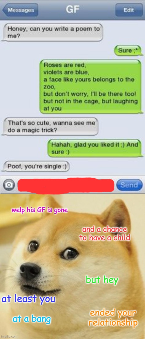 double rost | welp his GF is gone; and a chance to have a child; but hey; at least you; ended your relationship; at a bang | image tagged in memes,doge,text messages | made w/ Imgflip meme maker