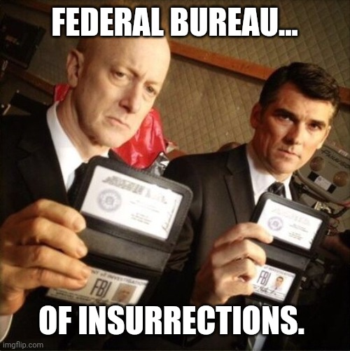 They're not solving crimes, they're covering them up. | FEDERAL BUREAU... OF INSURRECTIONS. | image tagged in memes | made w/ Imgflip meme maker
