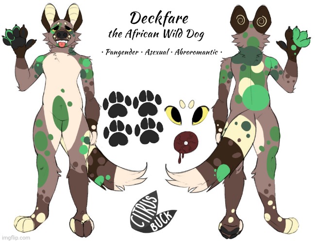 Featured image of post View 10 African Wild Dog Furry Base