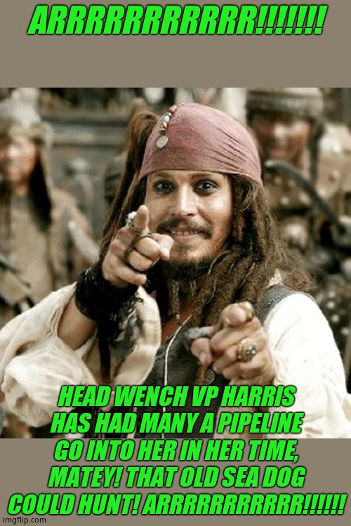 POINT JACK | ARRRRRRRRRRR!!!!!!! HEAD WENCH VP HARRIS HAS HAD MANY A PIPELINE GO INTO HER IN HER TIME, MATEY! THAT OLD SEA DOG COULD HUNT! ARRRRRRRRRRR!! | image tagged in point jack | made w/ Imgflip meme maker