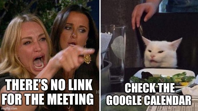 Angry lady cat | THERE’S NO LINK FOR THE MEETING; CHECK THE GOOGLE CALENDAR | image tagged in angry lady cat | made w/ Imgflip meme maker