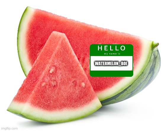 WATERMELON_BOI | made w/ Imgflip meme maker
