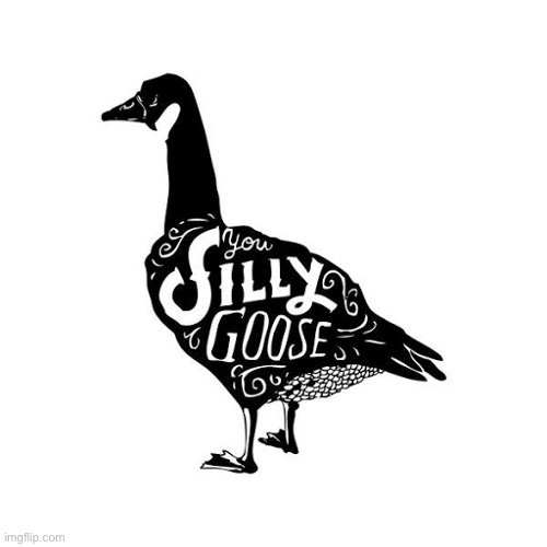 You silly goose | image tagged in you silly goose | made w/ Imgflip meme maker