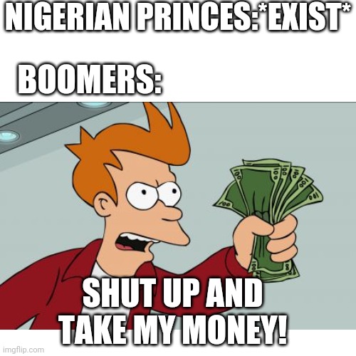 My poor grandma | NIGERIAN PRINCES:*EXIST*; BOOMERS:; SHUT UP AND TAKE MY MONEY! | image tagged in ok boomer,money,nigerian prince | made w/ Imgflip meme maker