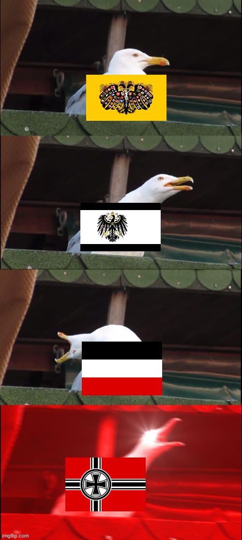 German evolution | image tagged in inhaling seagull,history memes | made w/ Imgflip meme maker