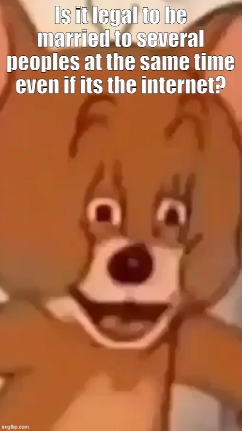._. | Is it legal to be married to several peoples at the same time even if its the internet? | image tagged in no i dont want to do that | made w/ Imgflip meme maker
