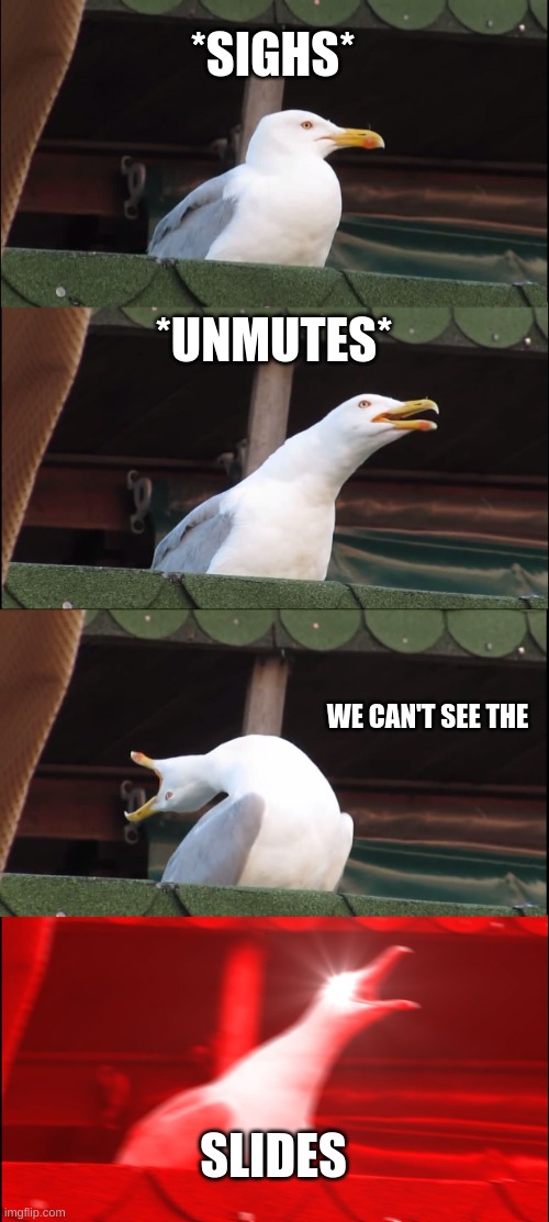 Inhaling Seagull | *SIGHS*; *UNMUTES*; WE CAN'T SEE THE; SLIDES | image tagged in memes,inhaling seagull | made w/ Imgflip meme maker