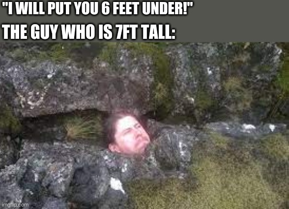 If they put him 6ft under vertically | "I WILL PUT YOU 6 FEET UNDER!"; THE GUY WHO IS 7FT TALL: | image tagged in 6ft under | made w/ Imgflip meme maker